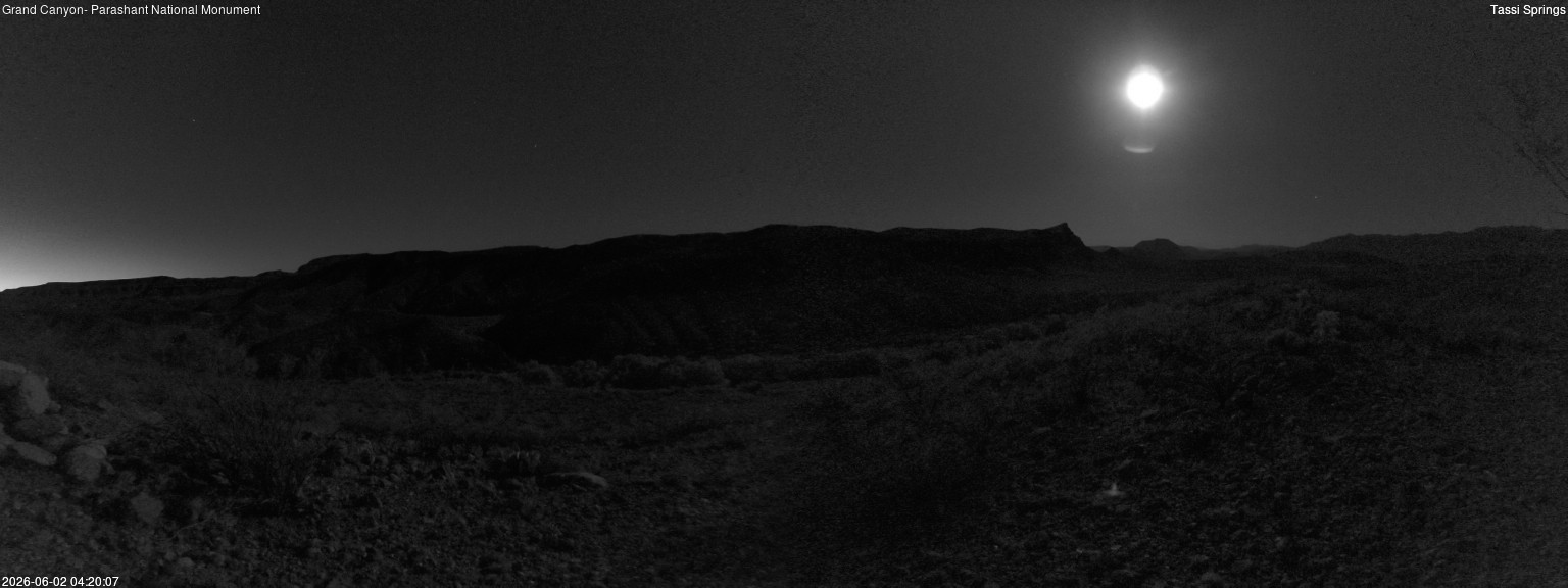 time-lapse frame, Tassi Springs webcam
