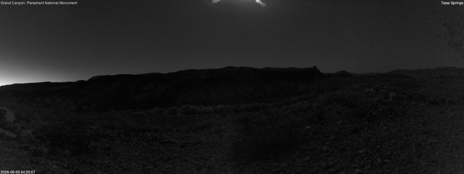 time-lapse frame, Tassi Springs webcam