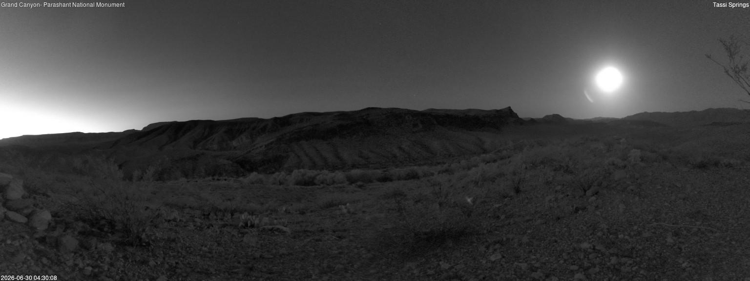 time-lapse frame, Tassi Springs webcam