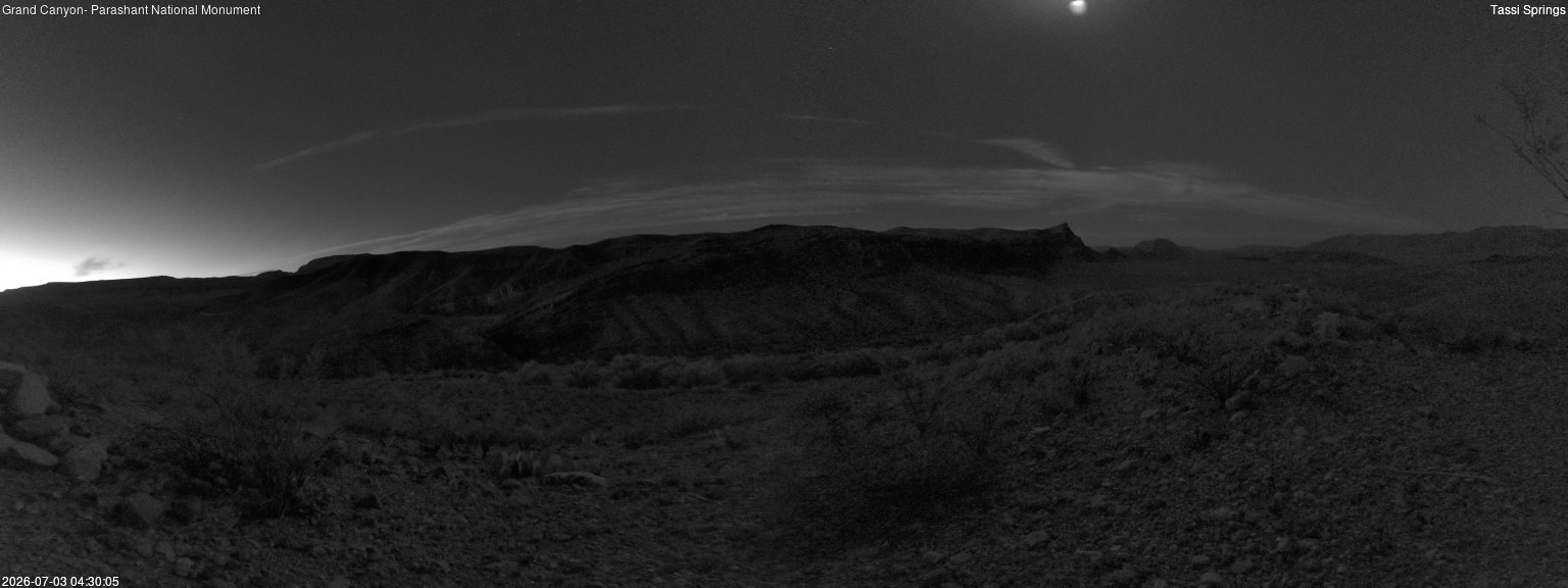 time-lapse frame, Tassi Springs webcam