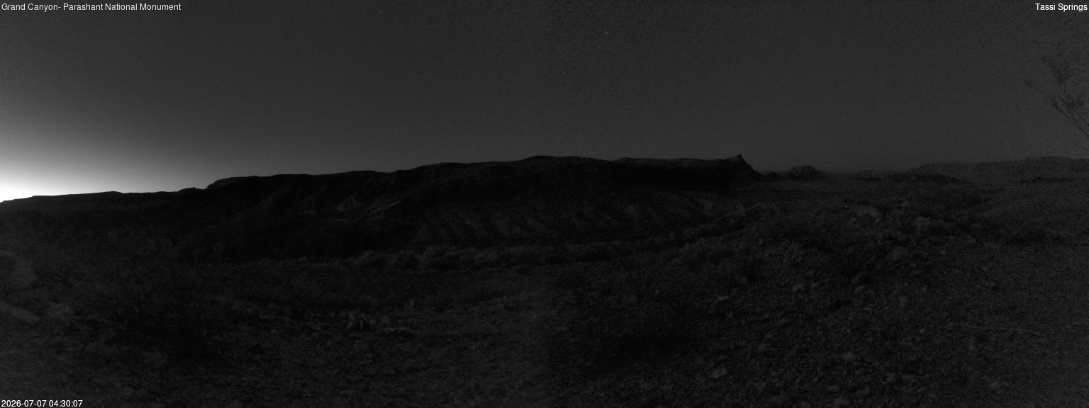 time-lapse frame, Tassi Springs webcam