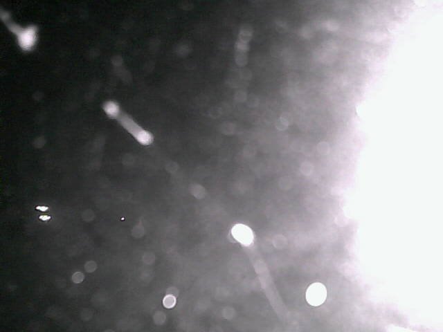 time-lapse frame, Cowes Yacht Club - North webcam