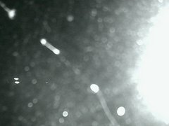 view from Cowes Yacht Club - North on 2026-04-18