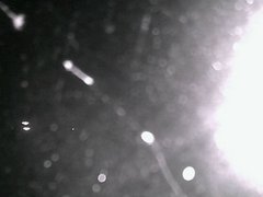 view from Cowes Yacht Club - North on 2026-04-21