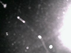 view from Cowes Yacht Club - North on 2026-04-25