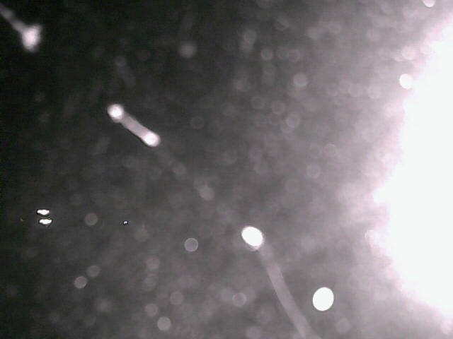 time-lapse frame, Cowes Yacht Club - North webcam