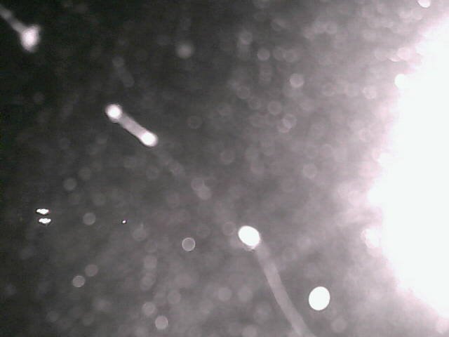 time-lapse frame, Cowes Yacht Club - North webcam