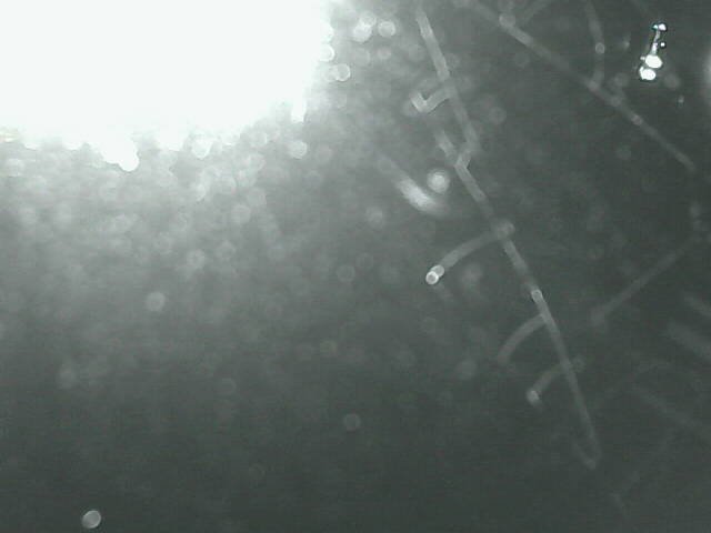 time-lapse frame, Cowes Yacht Club - West webcam