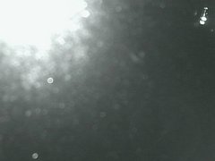 view from Cowes Yacht Club - West on 2026-04-21