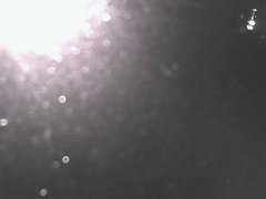 view from Cowes Yacht Club - West on 2026-06-16