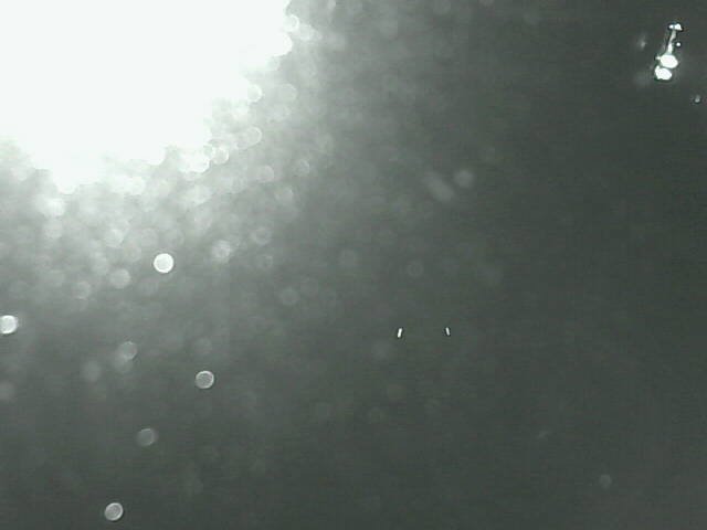 time-lapse frame, Cowes Yacht Club - West webcam