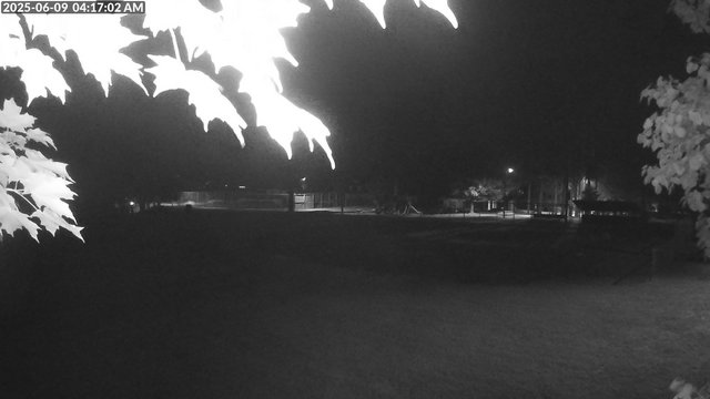 time-lapse frame, Arrowhead Park webcam
