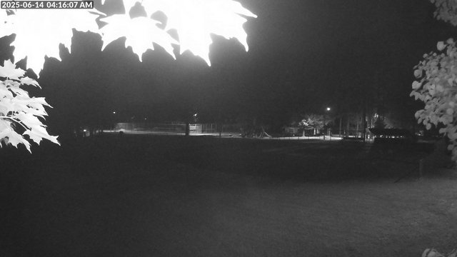 time-lapse frame, Arrowhead Park webcam