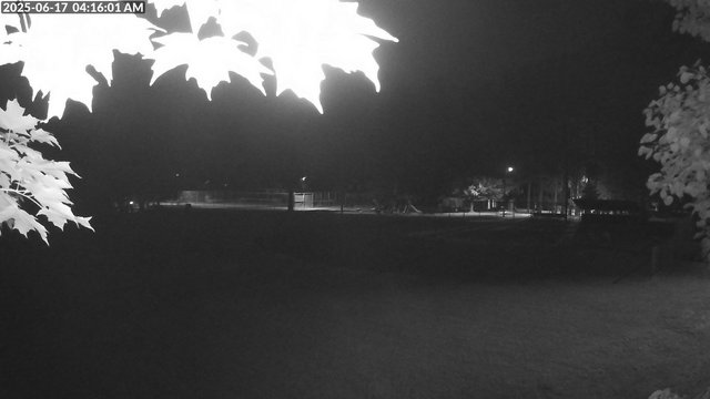 time-lapse frame, Arrowhead Park webcam
