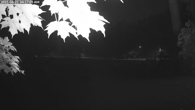 time-lapse frame, Arrowhead Park webcam