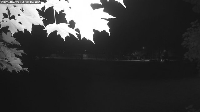 time-lapse frame, Arrowhead Park webcam
