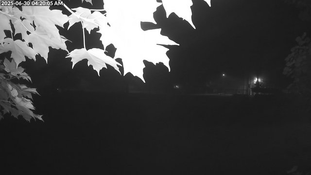 time-lapse frame, Arrowhead Park webcam