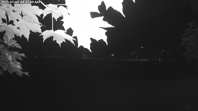 time-lapse frame, Arrowhead Park webcam