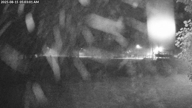 time-lapse frame, Arrowhead Park webcam