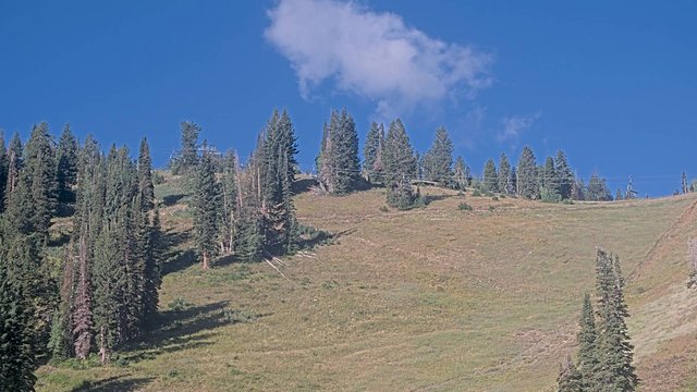 time-lapse frame, Solitude Sunshine Bowl webcam