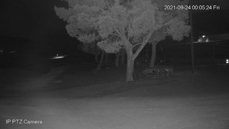 time-lapse frame, Canyon Crosswinds webcam