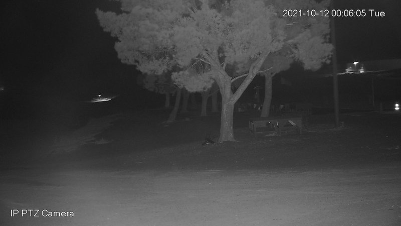 time-lapse frame, Canyon Crosswinds webcam