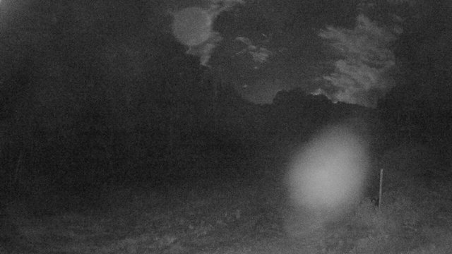 time-lapse frame, Sugarbush Terrain Park webcam