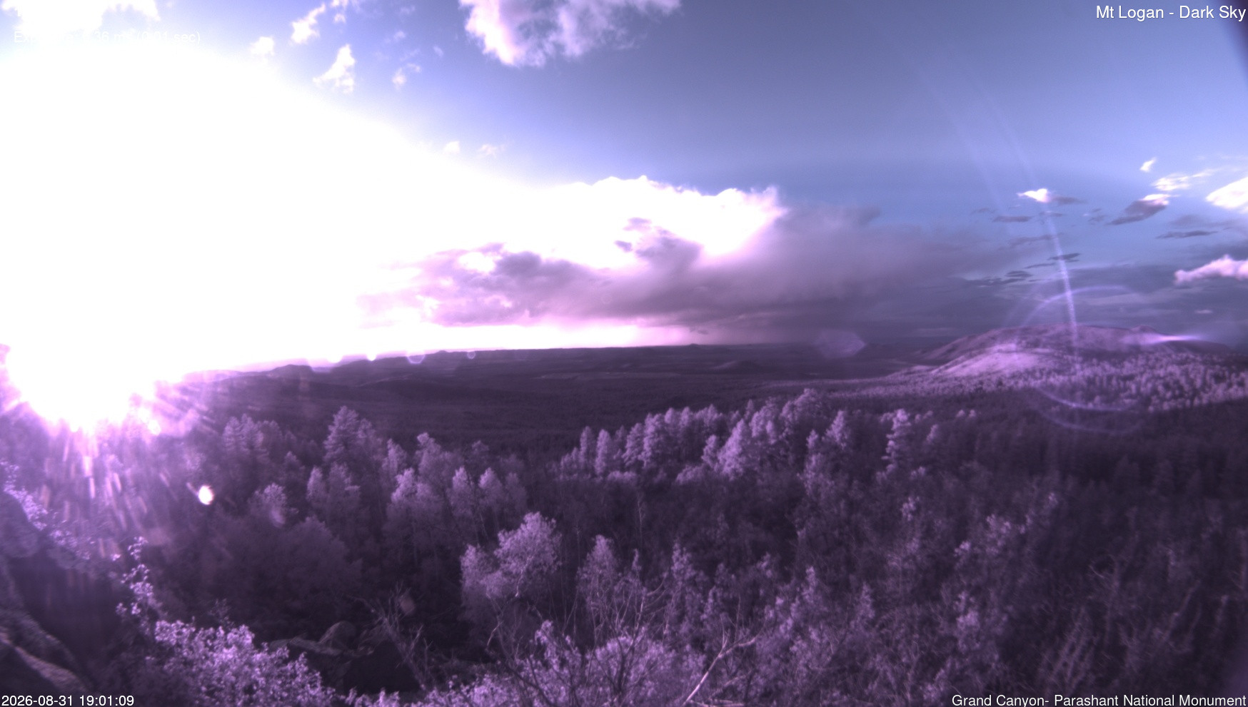 view from Mt Logan - Dark Sky on 2026-08-31