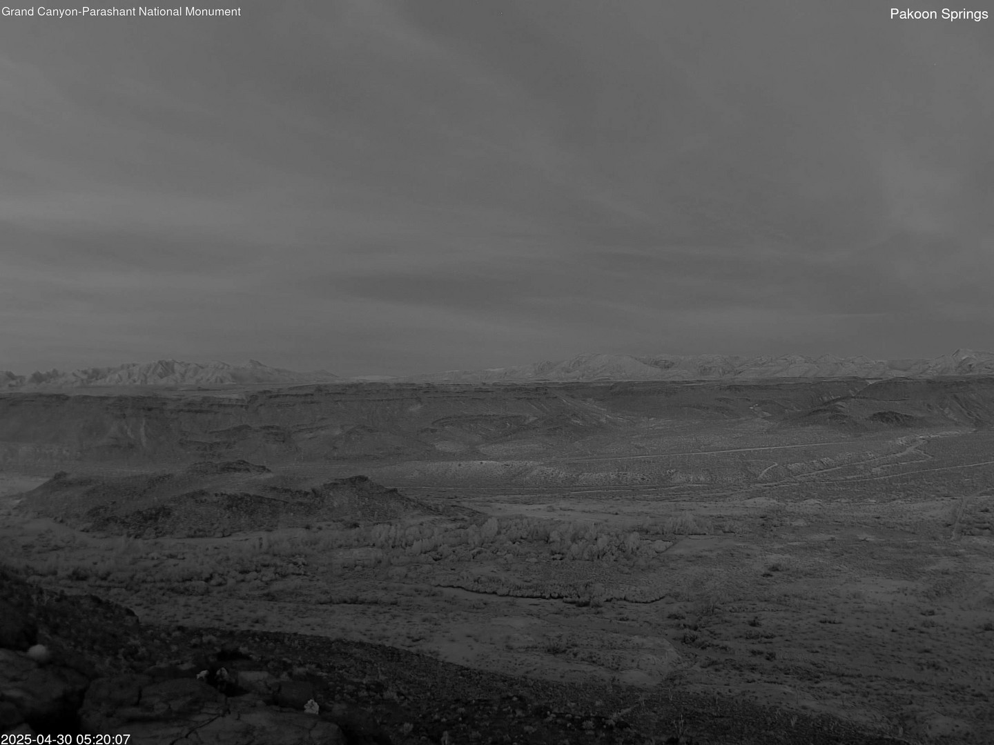 time-lapse frame, Pakoon Springs webcam
