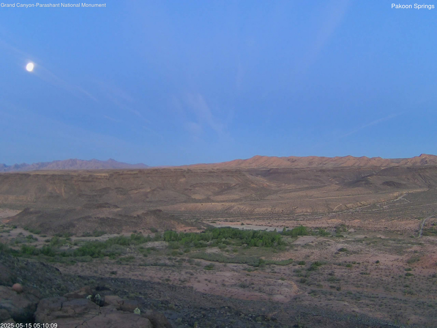 time-lapse frame, Pakoon Springs webcam