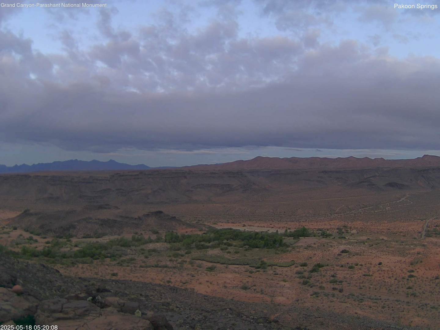 time-lapse frame, Pakoon Springs webcam