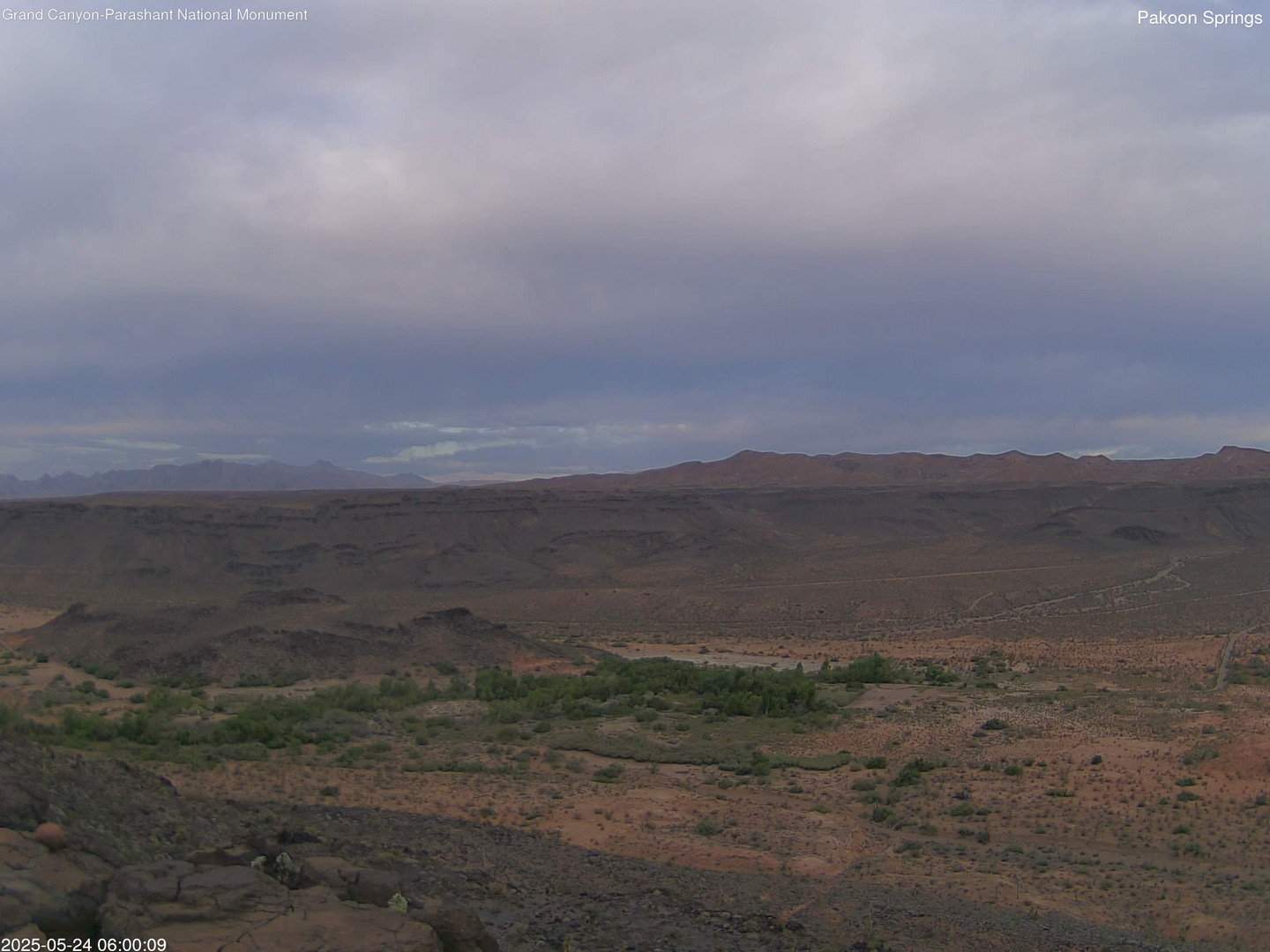 time-lapse frame, Pakoon Springs webcam