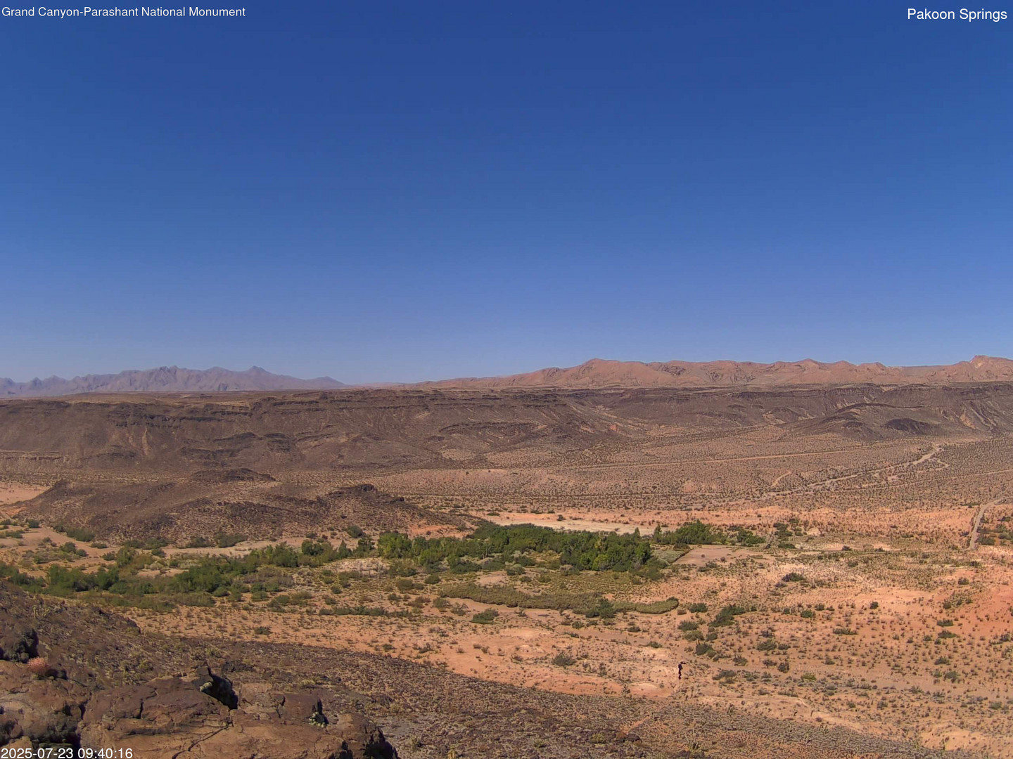 time-lapse frame, Pakoon Springs webcam