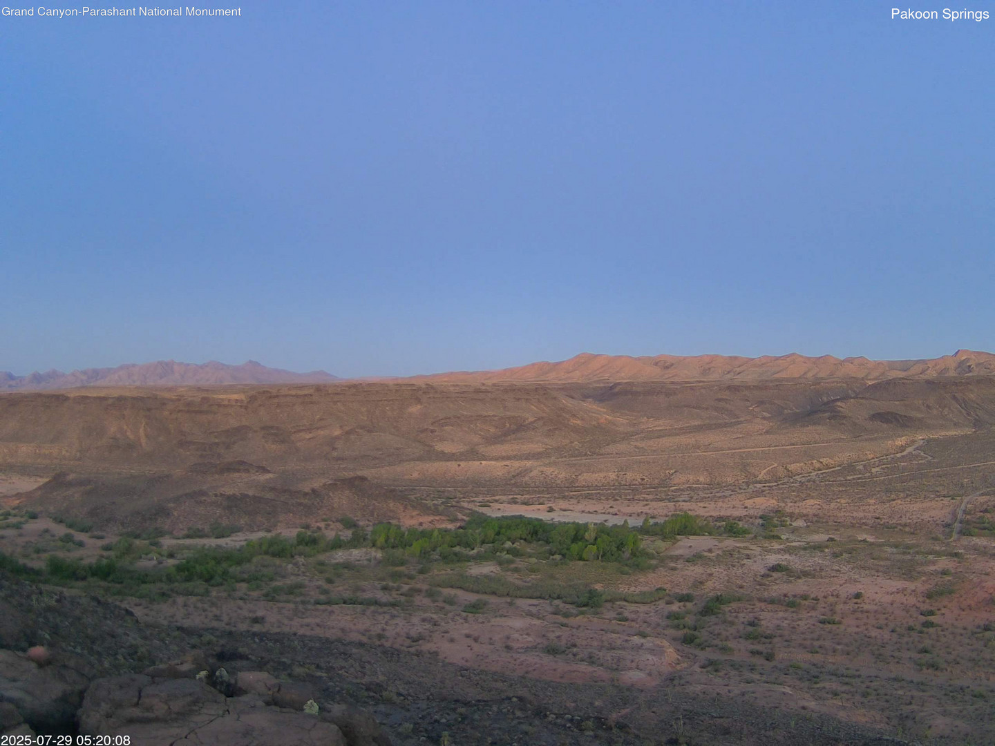 time-lapse frame, Pakoon Springs webcam