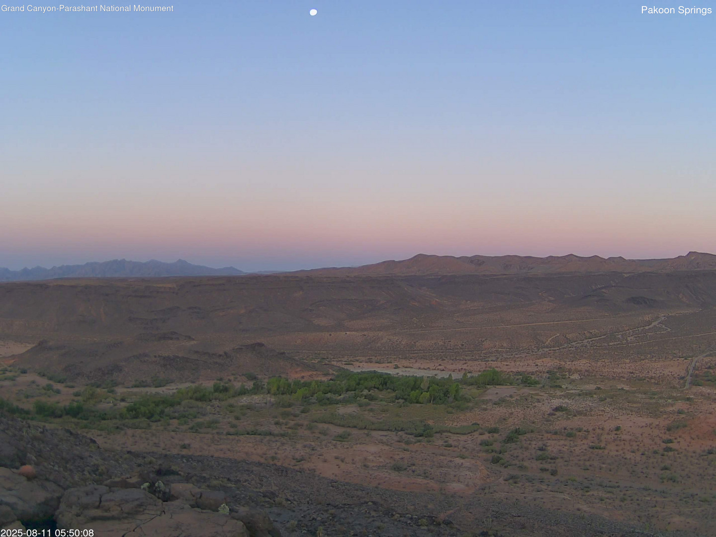 time-lapse frame, Pakoon Springs webcam