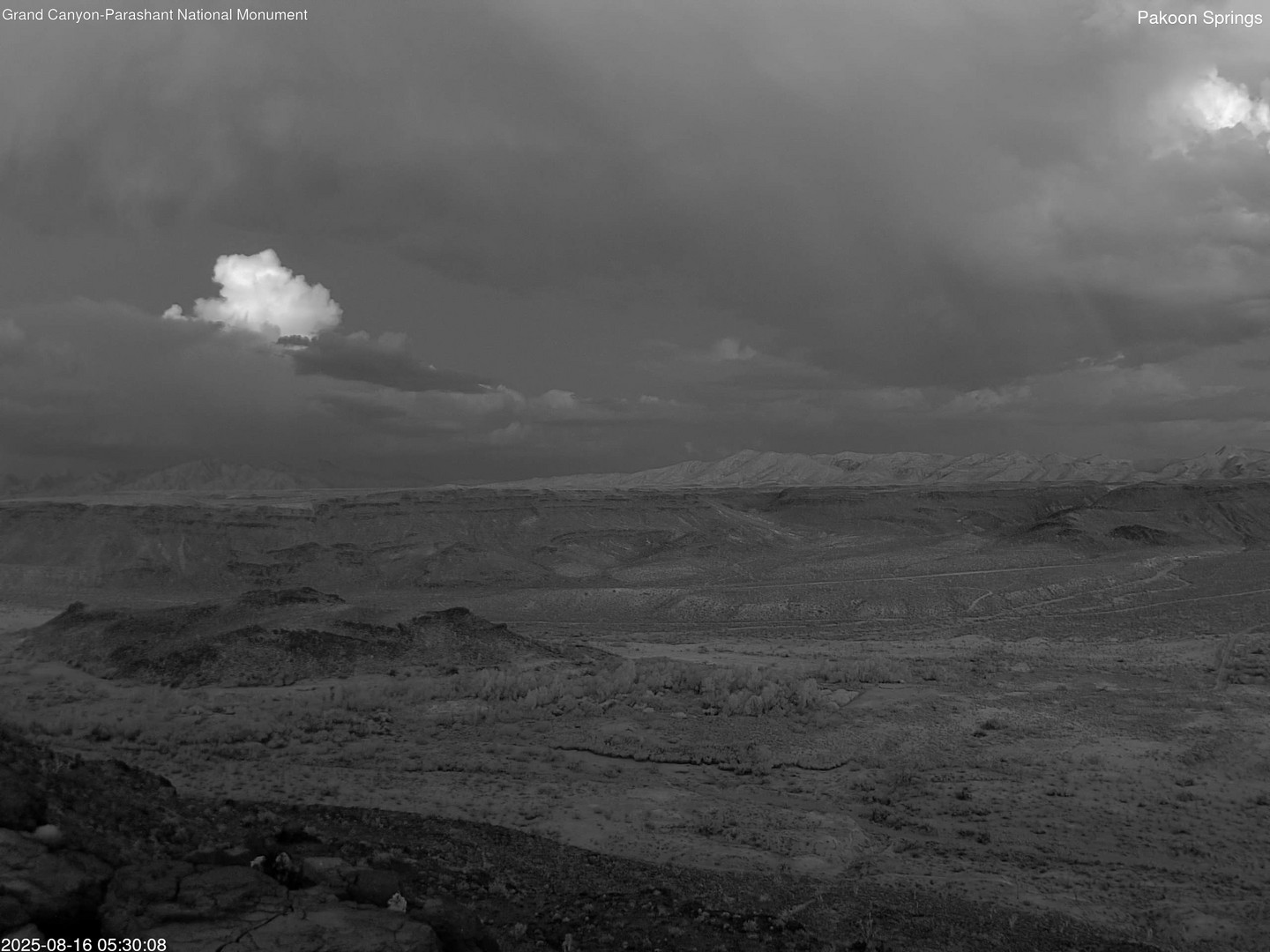 time-lapse frame, Pakoon Springs webcam