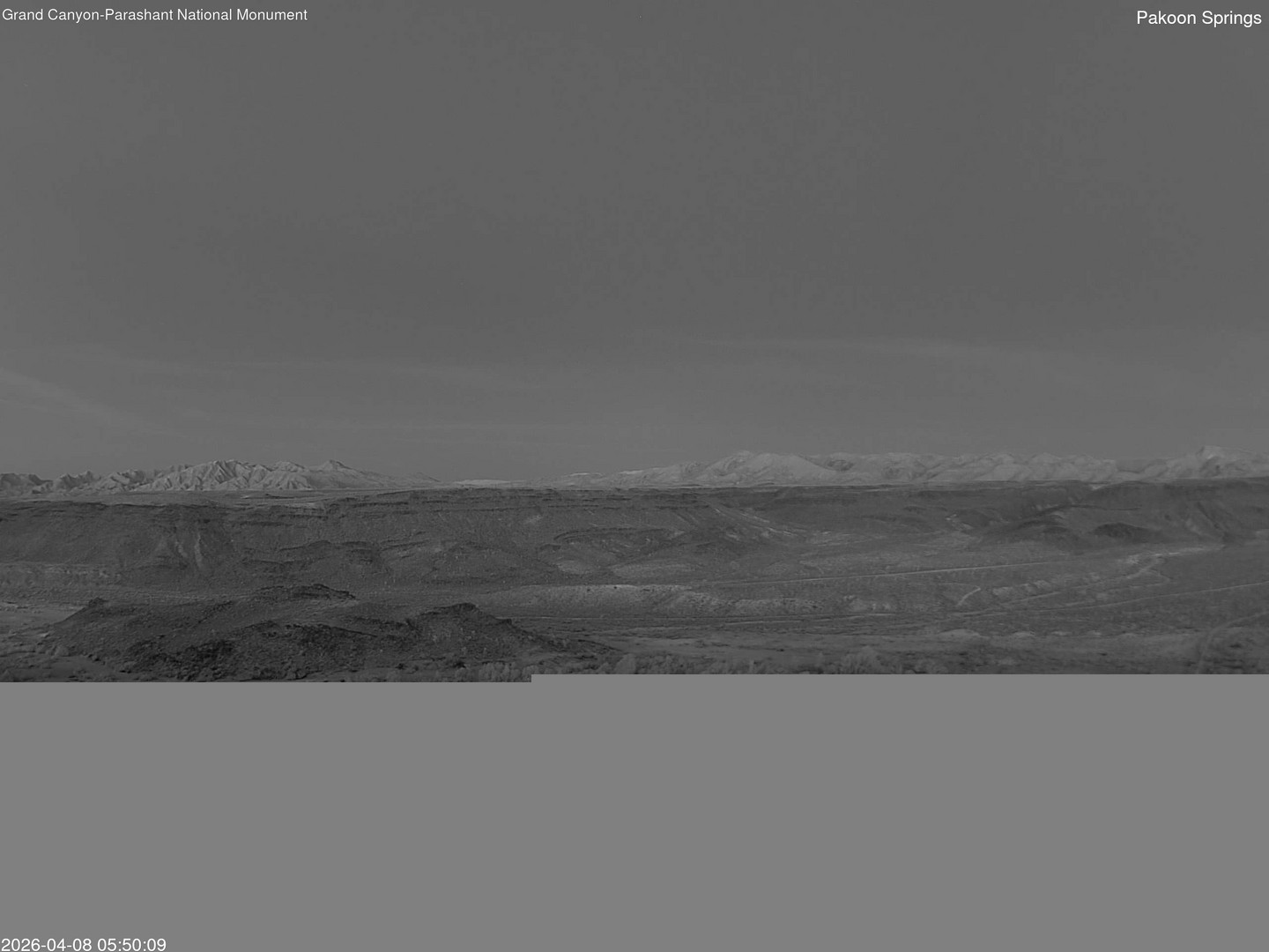 time-lapse frame, Pakoon Springs webcam