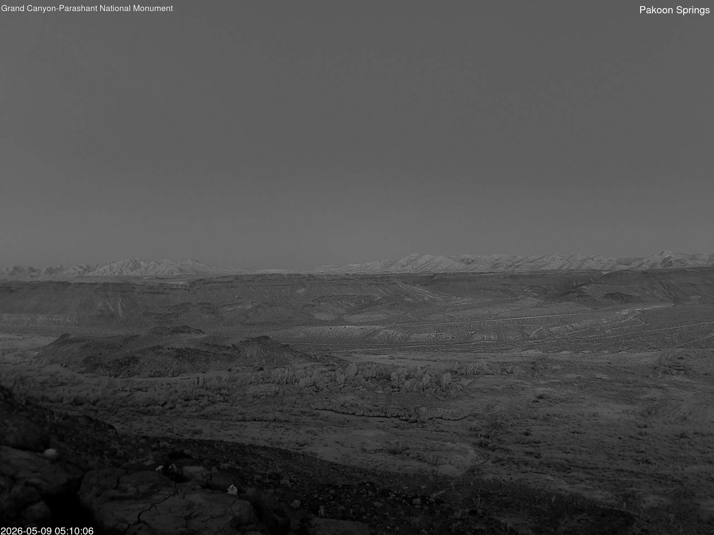 time-lapse frame, Pakoon Springs webcam