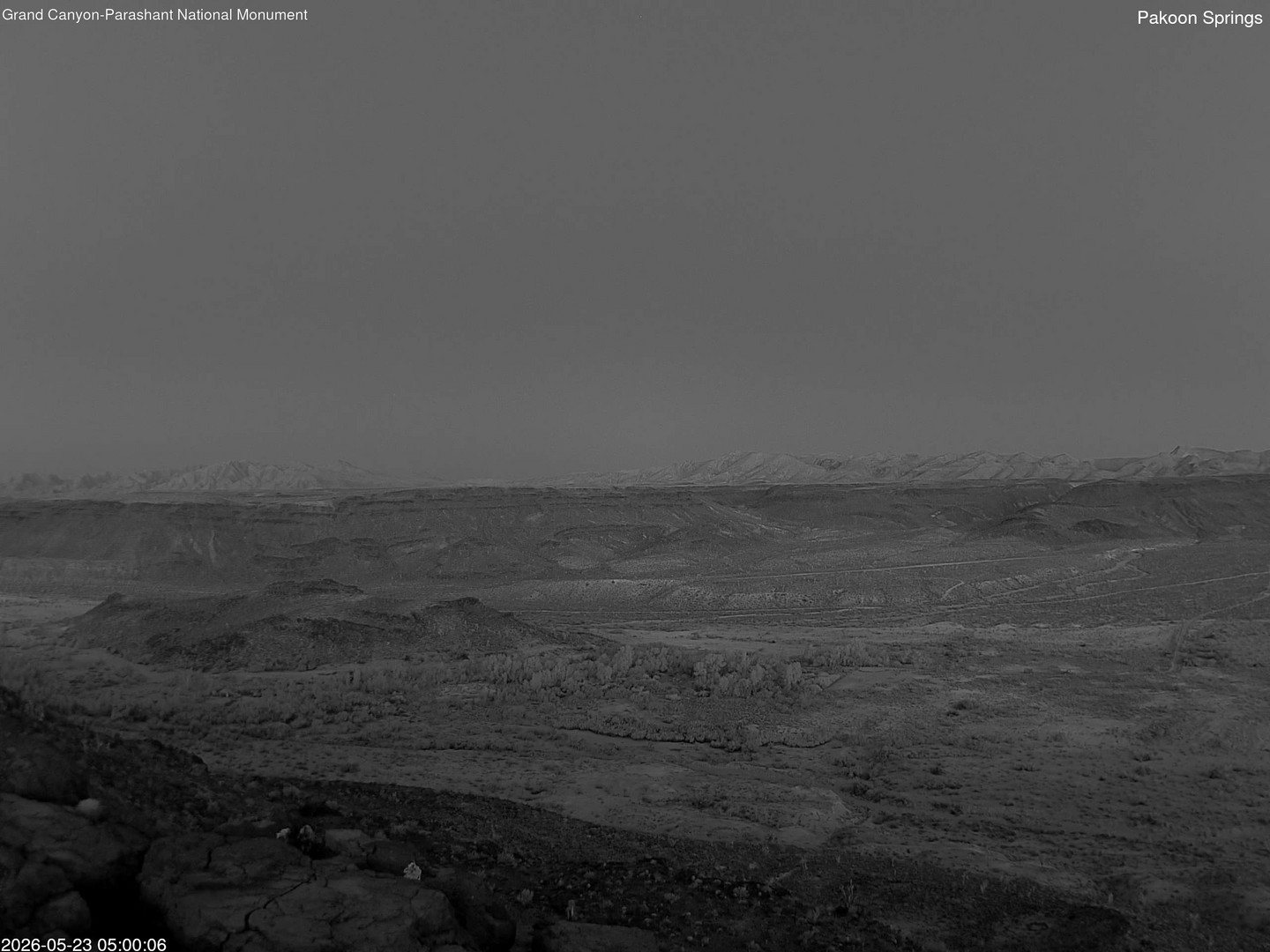 time-lapse frame, Pakoon Springs webcam