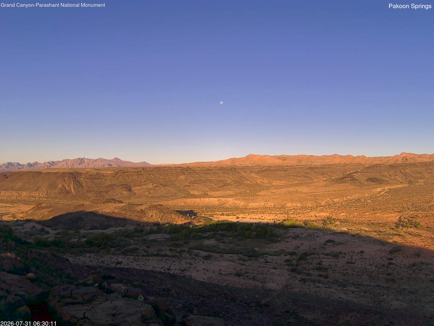 time-lapse frame, Pakoon Springs webcam