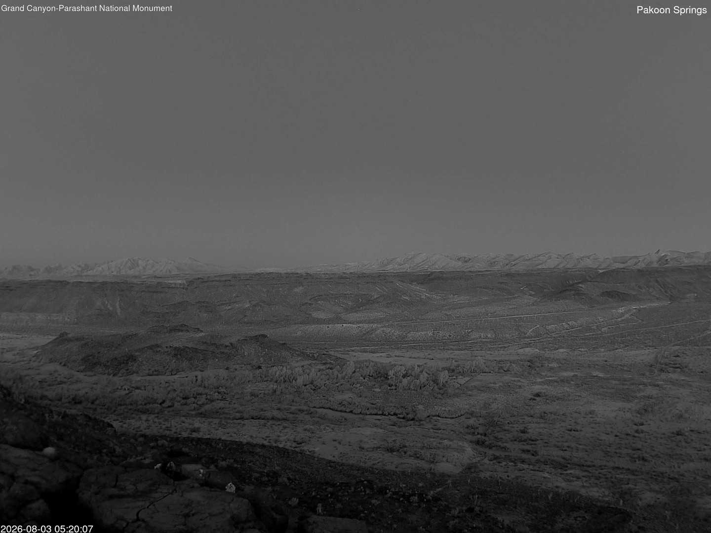time-lapse frame, Pakoon Springs webcam