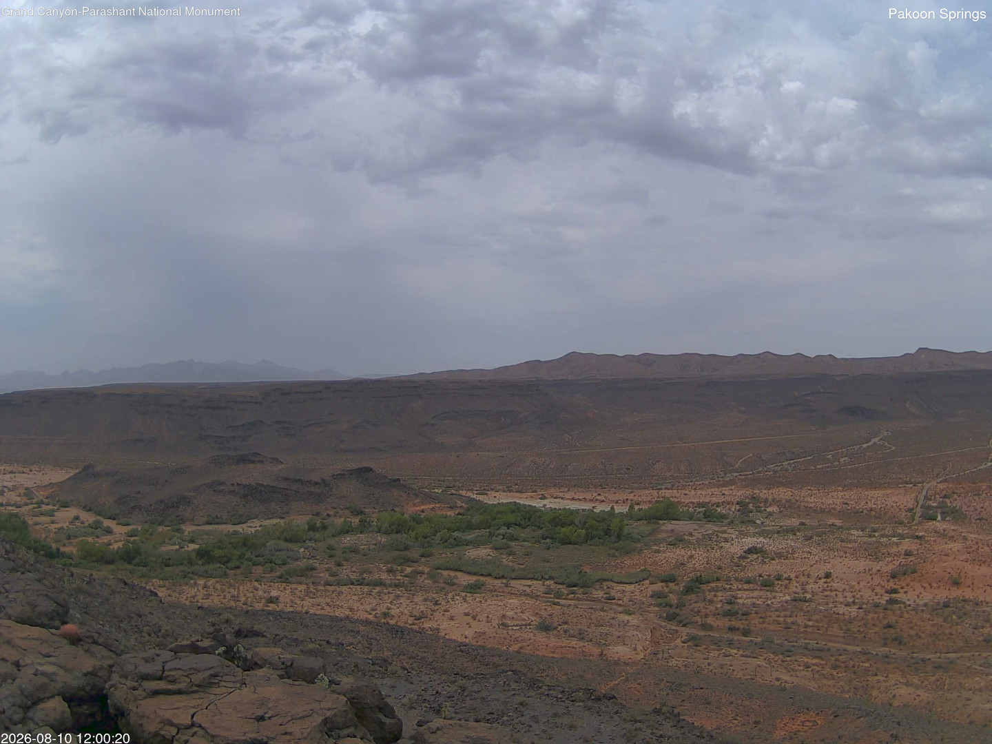 view from Pakoon Springs on 2026-08-10
