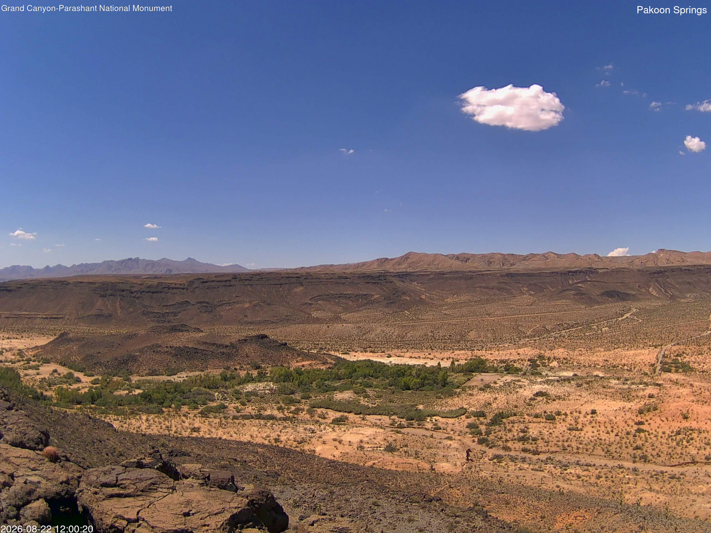 view from Pakoon Springs on 2026-08-22
