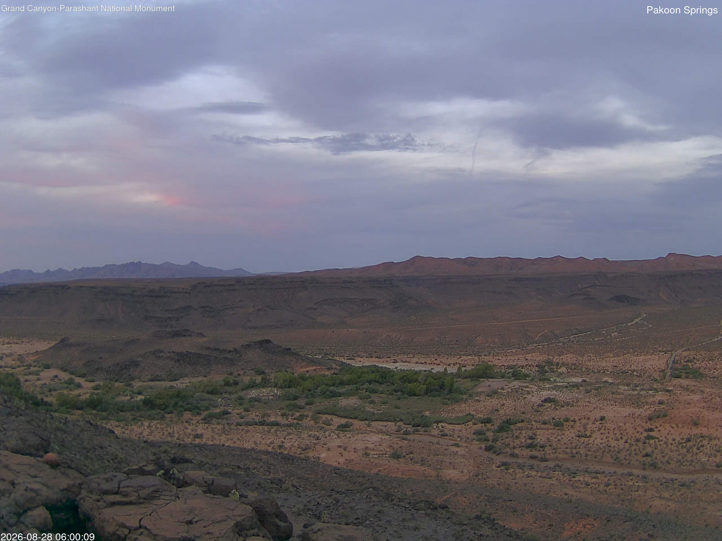 time-lapse frame, Pakoon Springs webcam