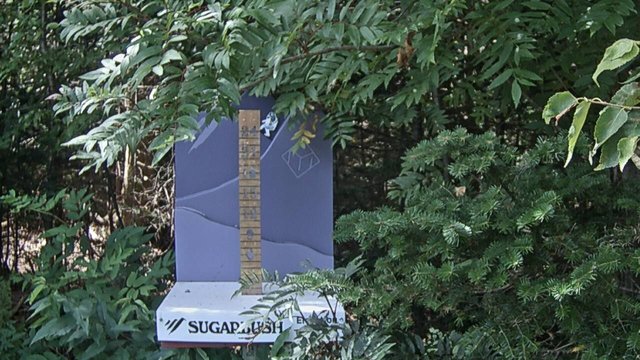 view from Sugarbush Mid-Mountain Snow Stake on 2026-08-31