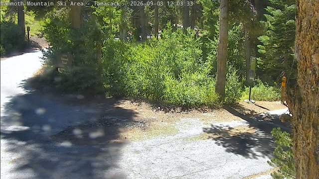 view from Mammoth Tamarack Lodge on 2026-09-03