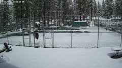 view from ZCTC cts 1-2 on 2026-04-12