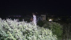 view from ACUTO on 2026-04-06