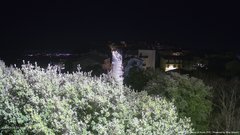 view from ACUTO on 2026-04-08