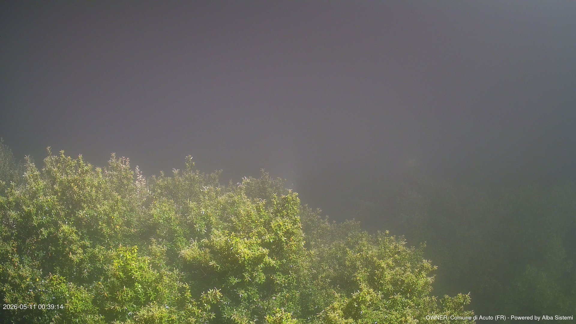 time-lapse frame, ACUTO webcam